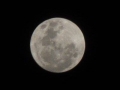 Purnama Perigee